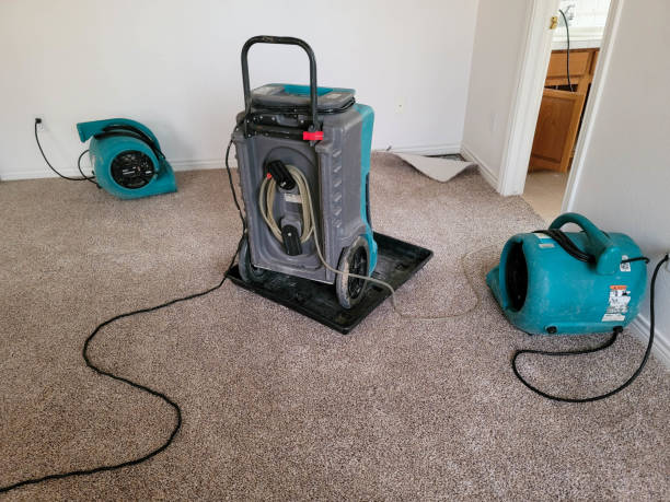 Professional Water damage restoration in Butler, IN