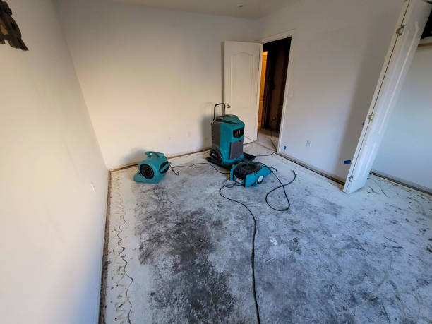 Best Commercial water damage restoration  in Butler, IN