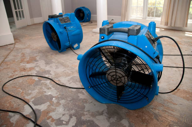 Best Water damage restoration near me  in Butler, IN