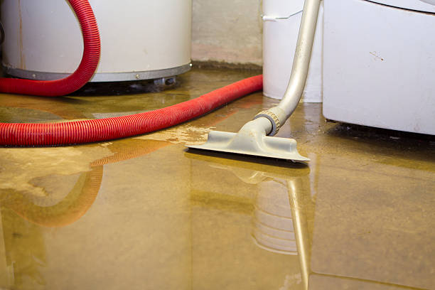 Best Basement water damage restoration  in Butler, IN