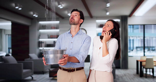 Best Fire Damage Restoration  in Butler, IN